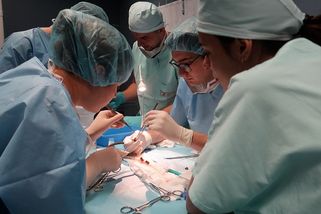 Do Plzně dorazili medici z různých koutů světa, lákají je operace na živých prasatech - Novinky